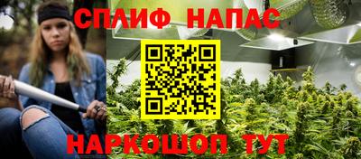 спайс Кинель