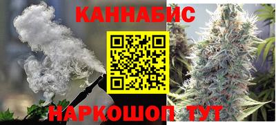 молекула духа Кингисепп