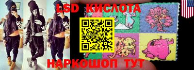 молекула духа Кингисепп