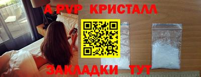 молекула духа Кингисепп