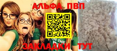 молекула духа Кингисепп